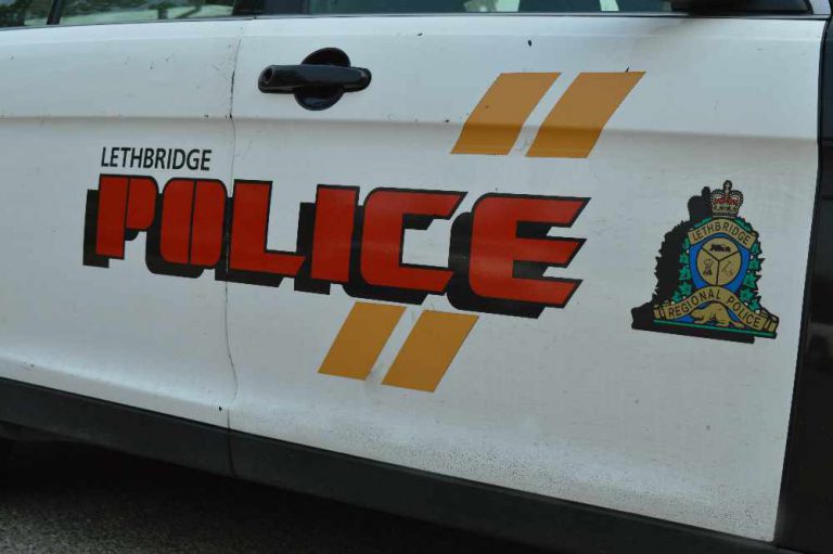 Man charged after hitting police dog