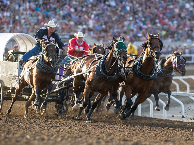 calgary & region family day home agency
