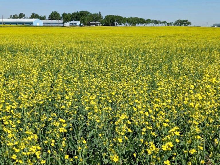 $1.7 million in Agri-Processing Investment Tax Credit conditionally approved for Lethbridge plant expansion