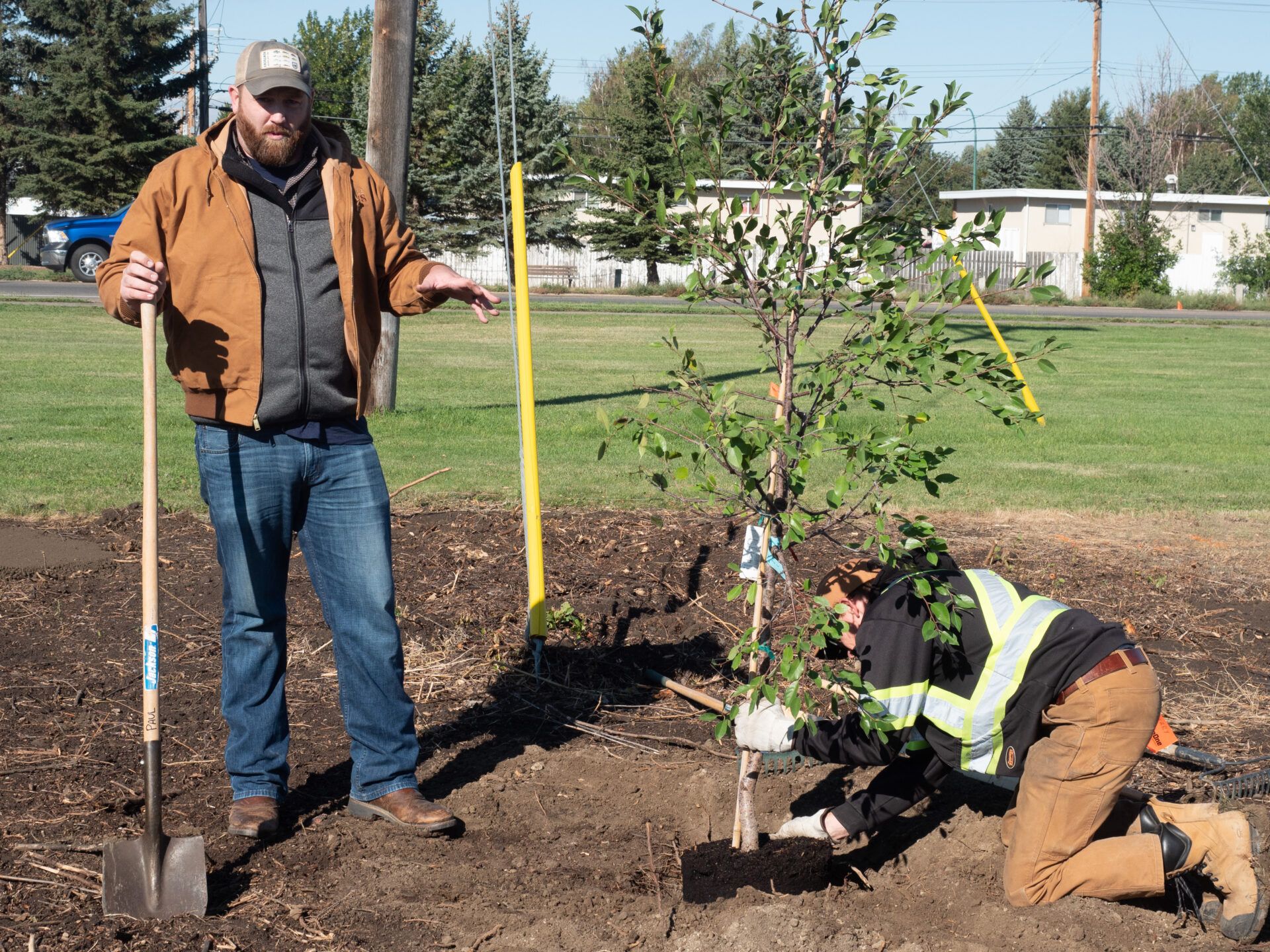 City partners with distillery to plant trees in Palliser Park My