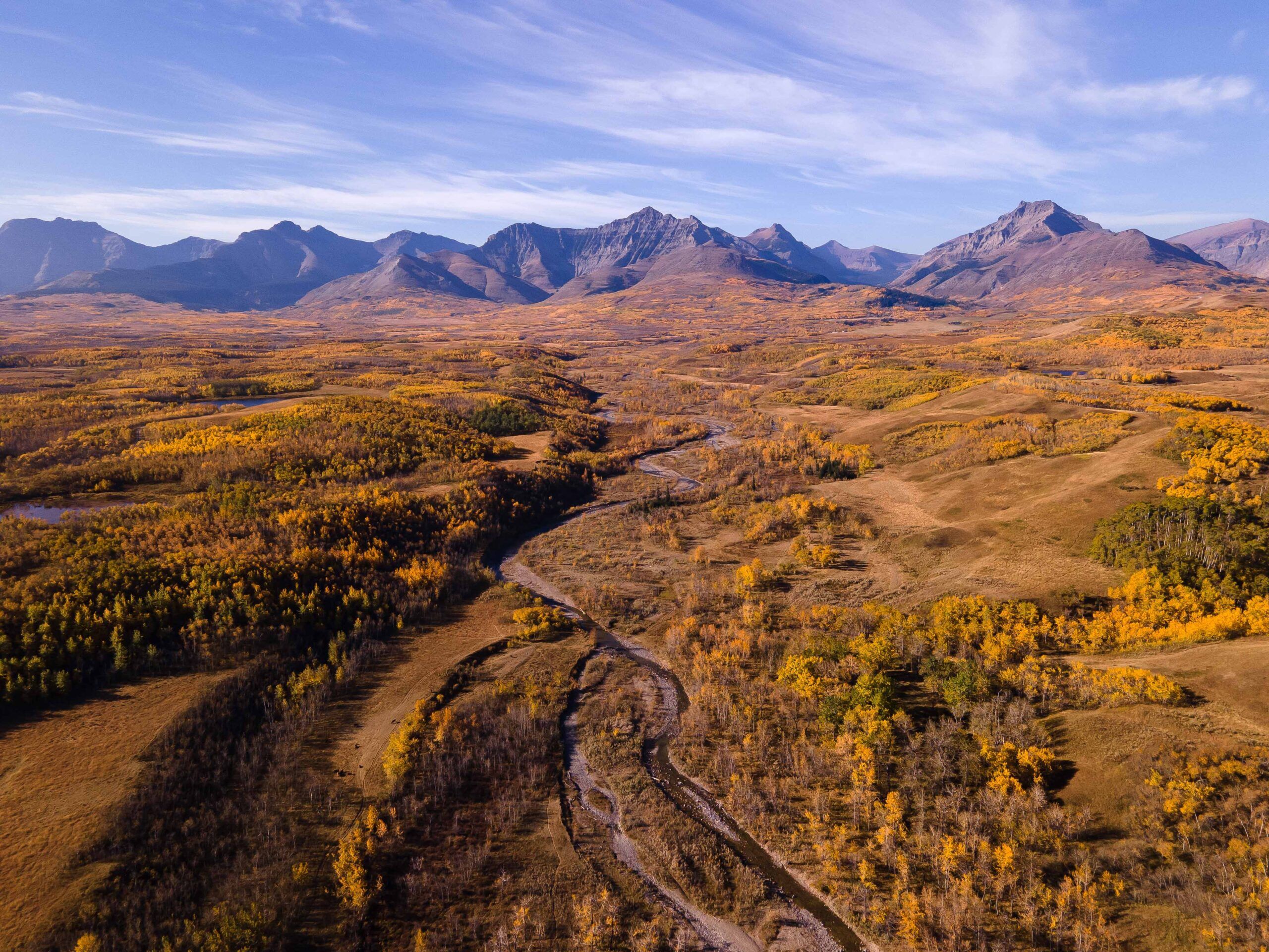Where Will Tourism features in Canada Be 6 Months From Now?