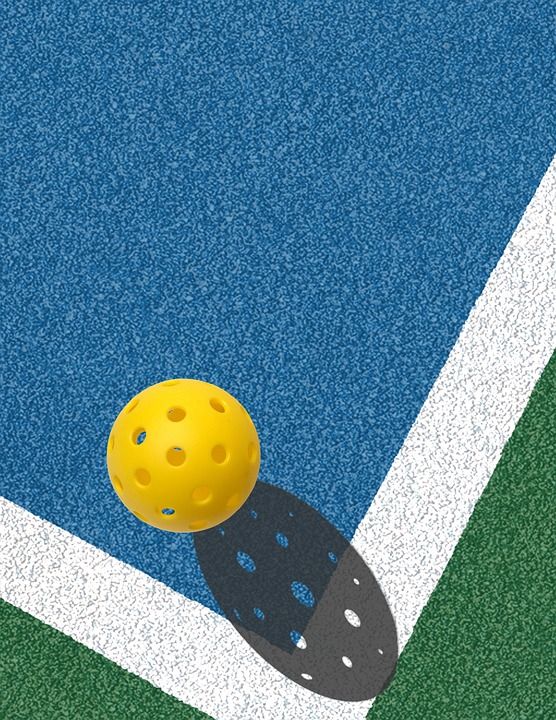 Six new Pickleball courts officially open 