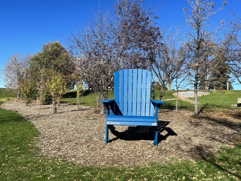 Blue clues: Lethbridge urged to search for larger-than-life lounger 