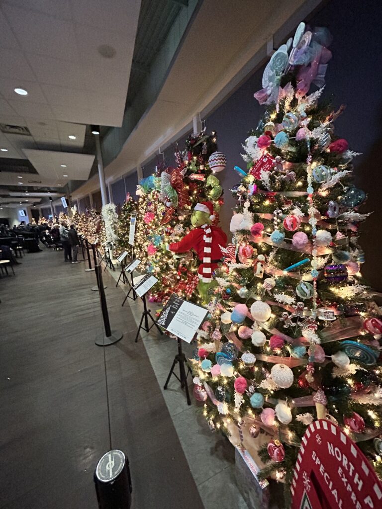 Chinook Regional Hospital Foundation’s Christmas Tree Festival celebrates 30 years