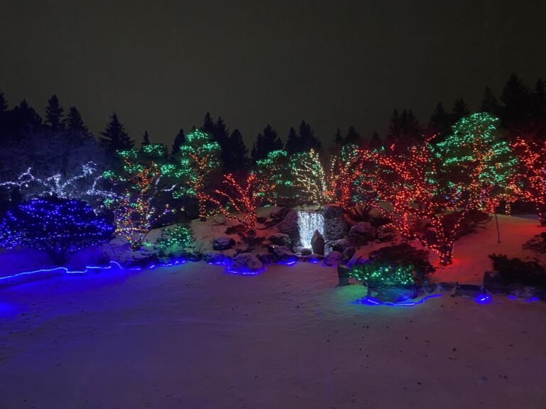 Illuminate the holidays with Nikka Yuko’s Winter Lights Festival