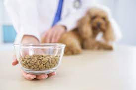 Petwise Blog: A Guide to Premium Pet Foods for a Healthy Start in the New Year