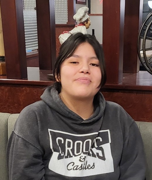 Lethbridge Police search for missing 17-year-old