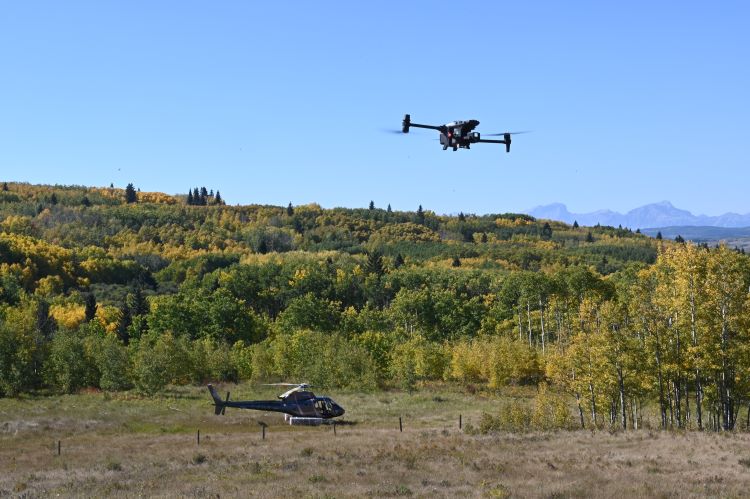 2024 wildfire season sees increase in number of fires, decrease in total land burned
