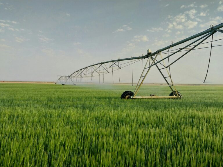 University of Lethbridge teams with county partners to support agricultural research