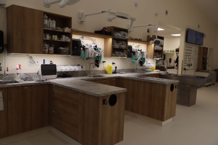 Lethbridge Pet Hospital (Photo mylethbridgenow.com staff)