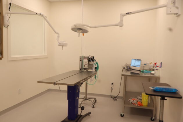 Lethbridge Pet Hospital surgery room (Photo mylethbridgenow.com staff)