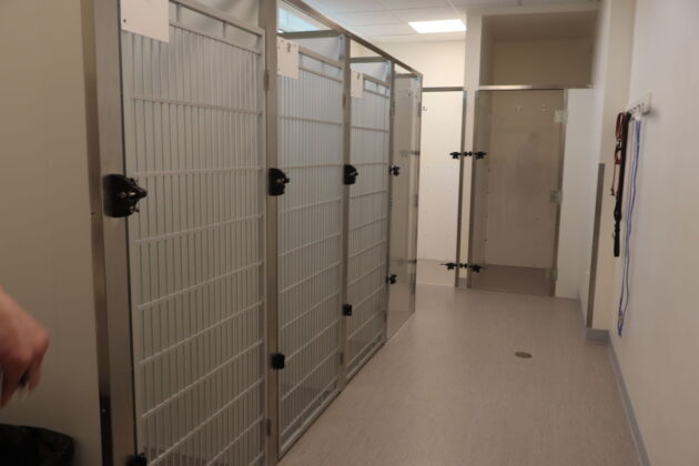 Lethbridge Pet Hospital dog area (Photo mylethbridgenow.com staff)