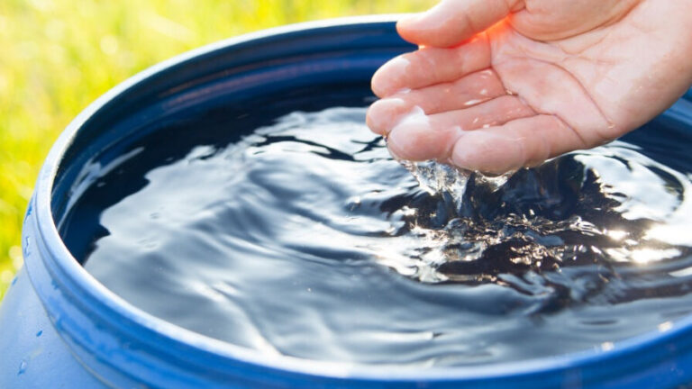 Coaldale’s Rain Barrel Rebate program returns