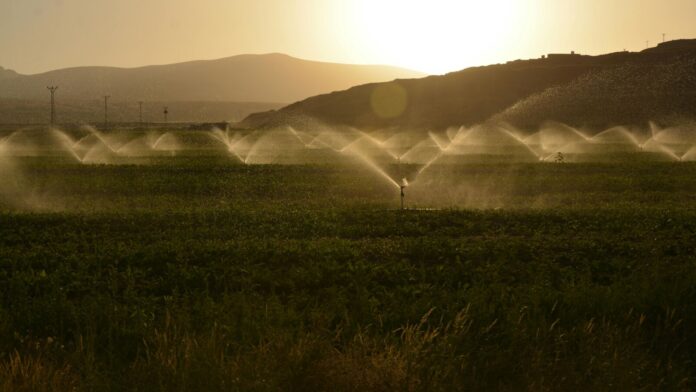 Irrigation. (Photo: Pexels)