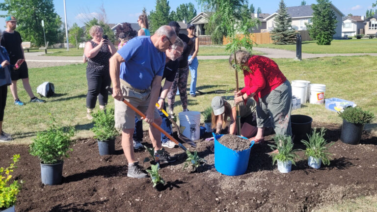 Volunteers really dig Tartan Park’s drought-resistant garden