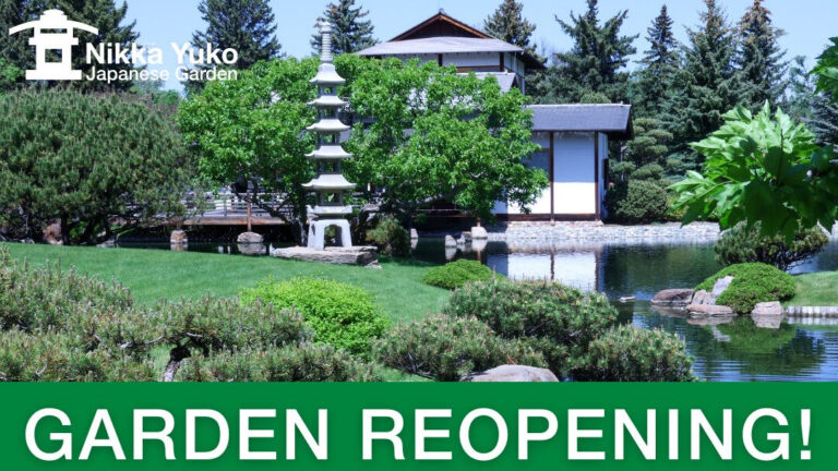 Nikka Yuko reopens May 8 with plenty of weekend activities