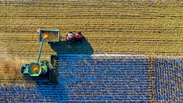 Agriculture, Crops, Farming (Photo: Pexels)