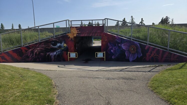 The underpass by Father Leonard Van Tighem School has received a burst of colour as part of a youth engagement art project. (Photo: J. Goulet, My Lethbridge Now)
