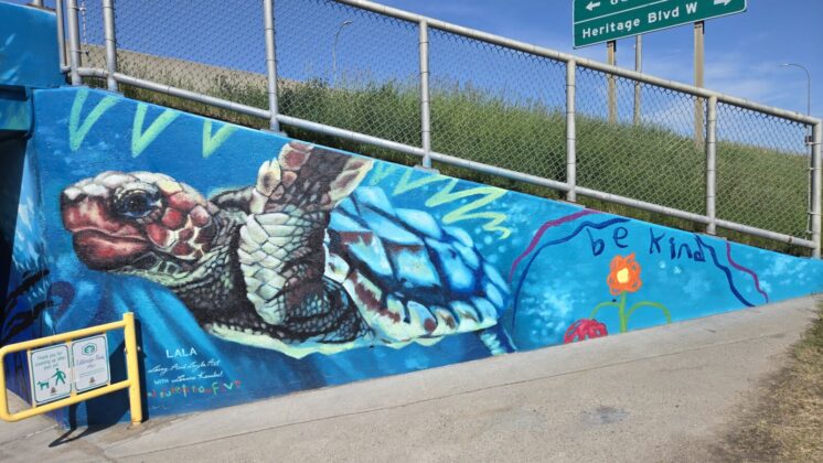 A sea turtle is painted on the east end of the underpass. (Photo: J. Goulet, My Lethbridge Now)