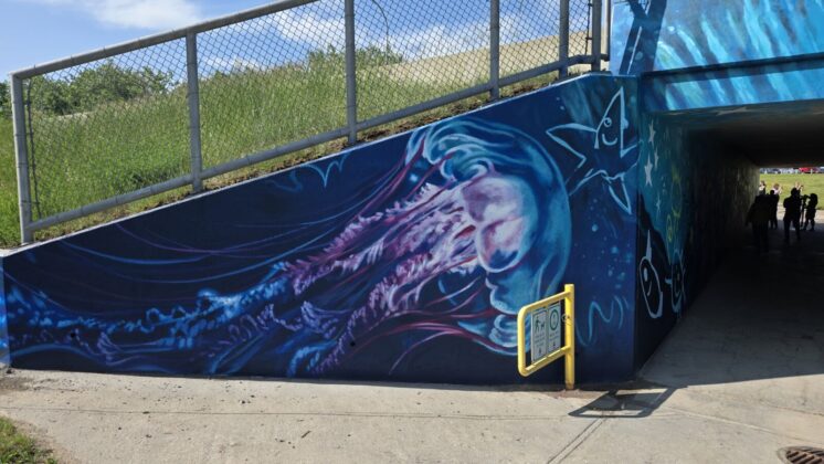 A jellyfish featured on the east side of the tunnel. (Photo: J. Goulet, My Lethbridge Now)