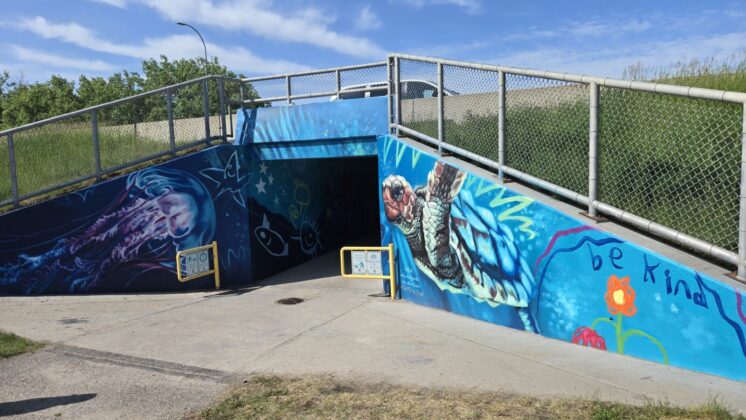 Marine life is in the spotlight at the east entrance of the underpass. (Photo: J. Goulet, My Lethbridge Now)