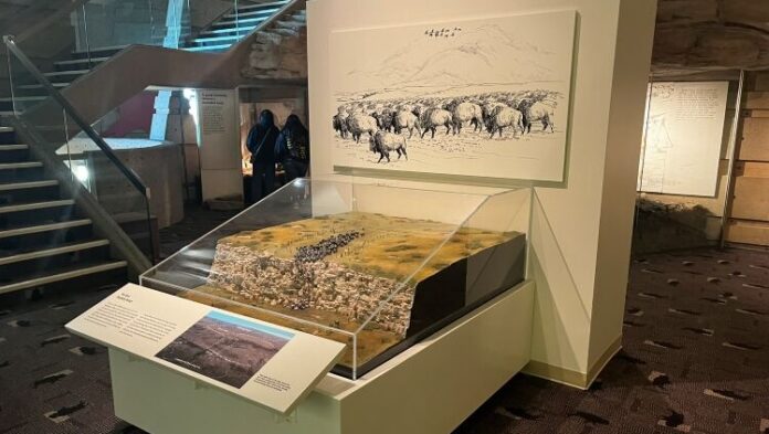 New Buffalo Hunt Exhibit (Photo provided)