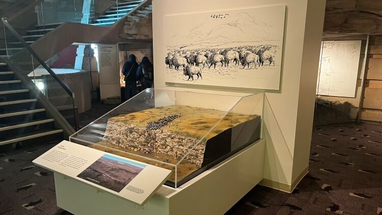 New Buffalo Hunt Exhibit (Photo provided)