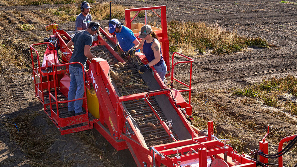 No small potatoes with Farming Smarter donation to Interfaith Food Bank : My Lethbridge Now